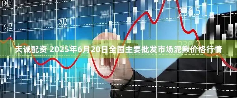 天诚配资 2025年6月20日全国主要批发市场泥鳅价格行情