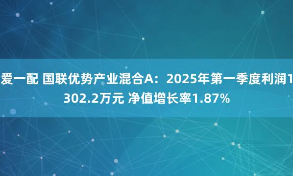 爱一配 国联优势产业混合A：2025年第一季度利润1302.2万元 净值增长率1.87%